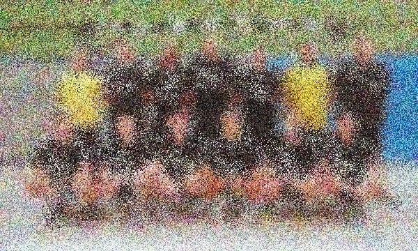 ohne Foto
