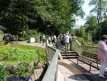 Tagesausflug 2011_8