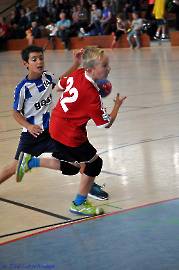 10 Jahre MSG - Tag des Handballs