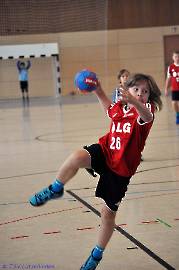 10 Jahre MSG - Tag des Handballs