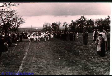 49_Waldlaufmeisterschaft-3