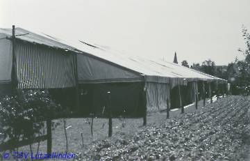 54_Festzelt-1