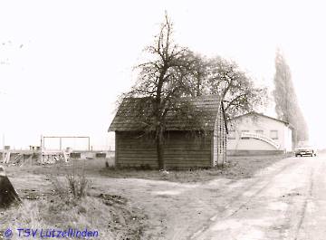 71_Halle-2