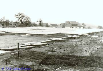 71_Halle-4