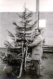 71_Halle-9